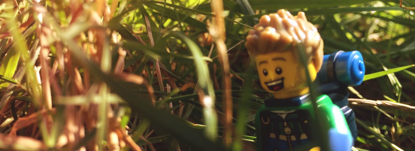 Brick Pic of the Day: 22 September 16
