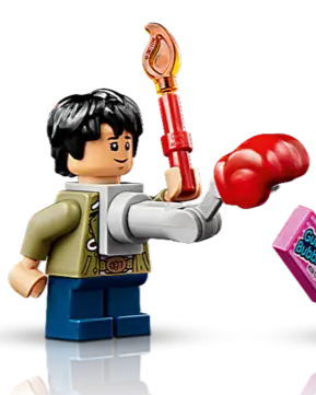 21363 data