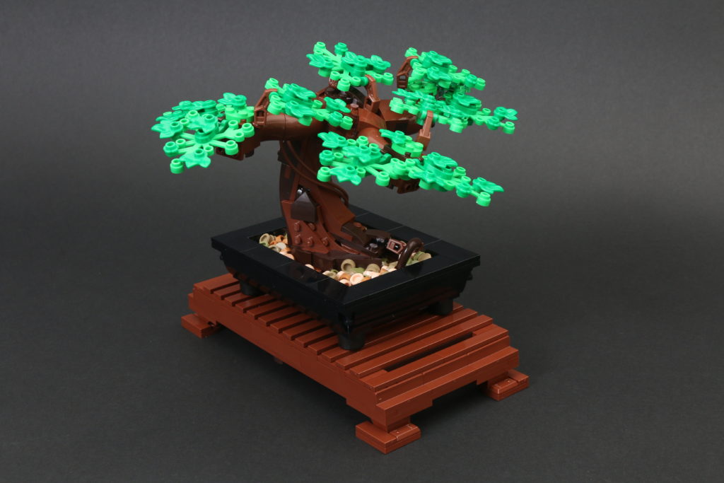 LEGO Botanical Collection 10281 Bonsai Tree review 21