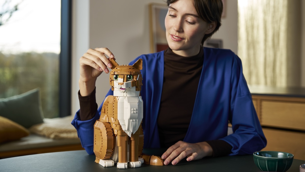The dos and don'ts of LEGO Ideas 21376 Orange Cat