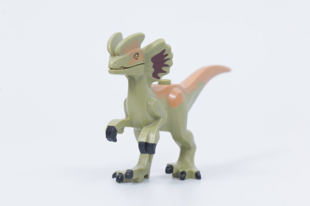 LEGO Jurassic World 76951 Pyroraptor Dilophosaurus Transport review 14 1024x683