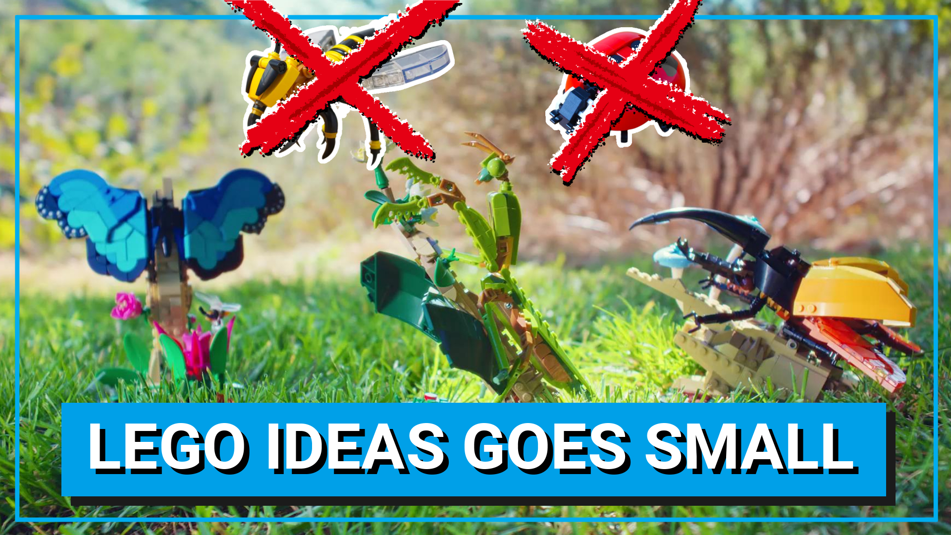 LEGO Ideas The Insect Collection sizes down but glows up