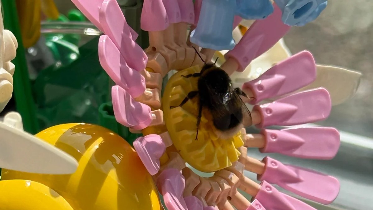LEGO Botanicals sets might be a bit too convincing