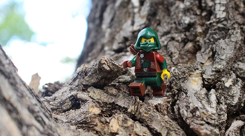Brick Pic of the Day: Sherwood Forest