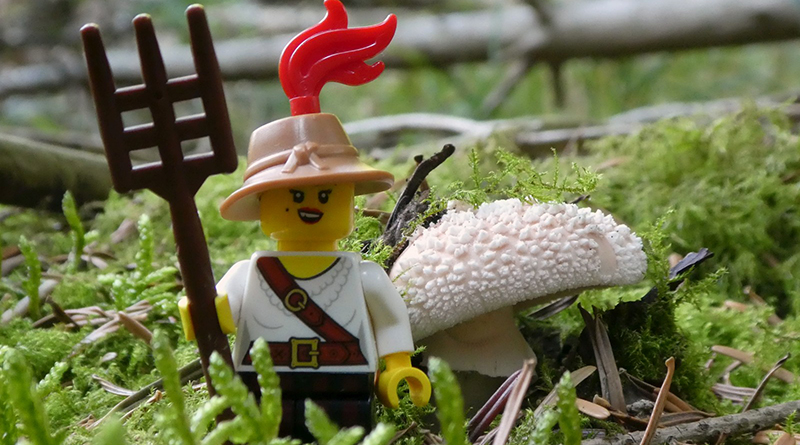 Brick Pic of the Day: Foraging