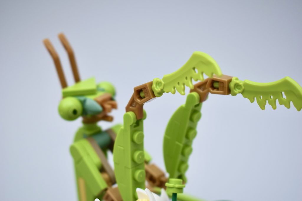 LEGO Ideas 21342 The Insects Collection Review 9 1024x683