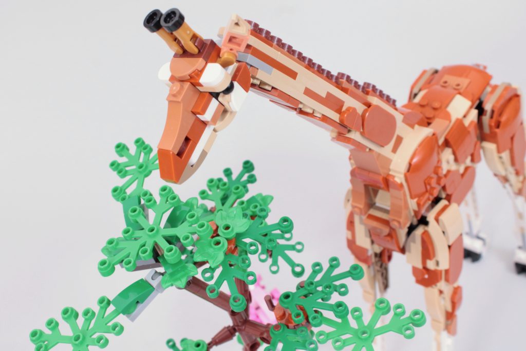 LEGO Creator 3 in 1 31150 Wild Safari Animals review 14 1024x683