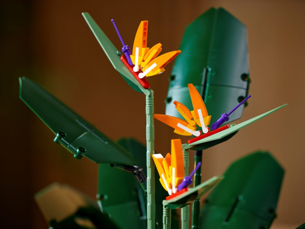 LEGO 10289 Bird of Paradise lifestyle 5