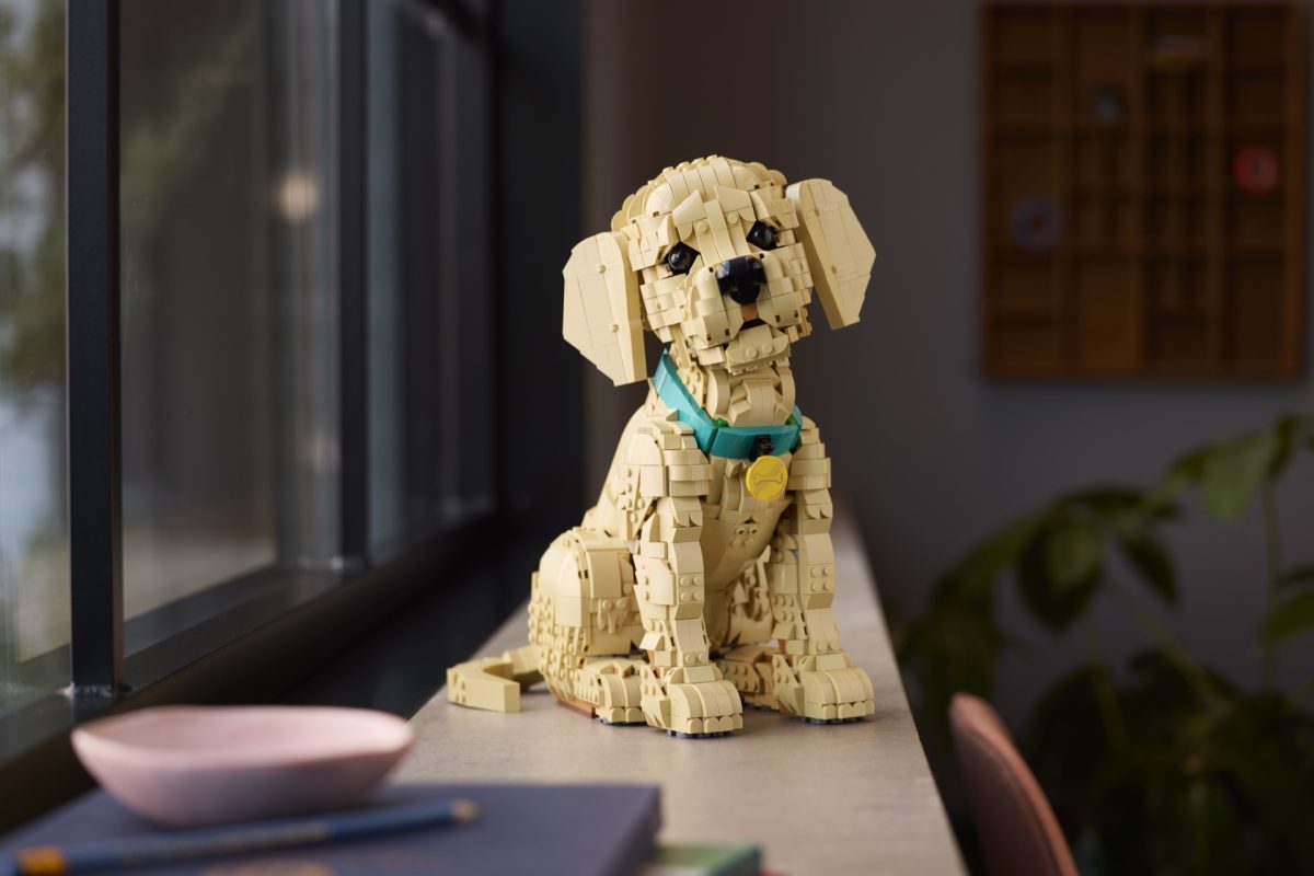 LEGO Icons 11384 Golden Retriever Puppy 28 1200x800