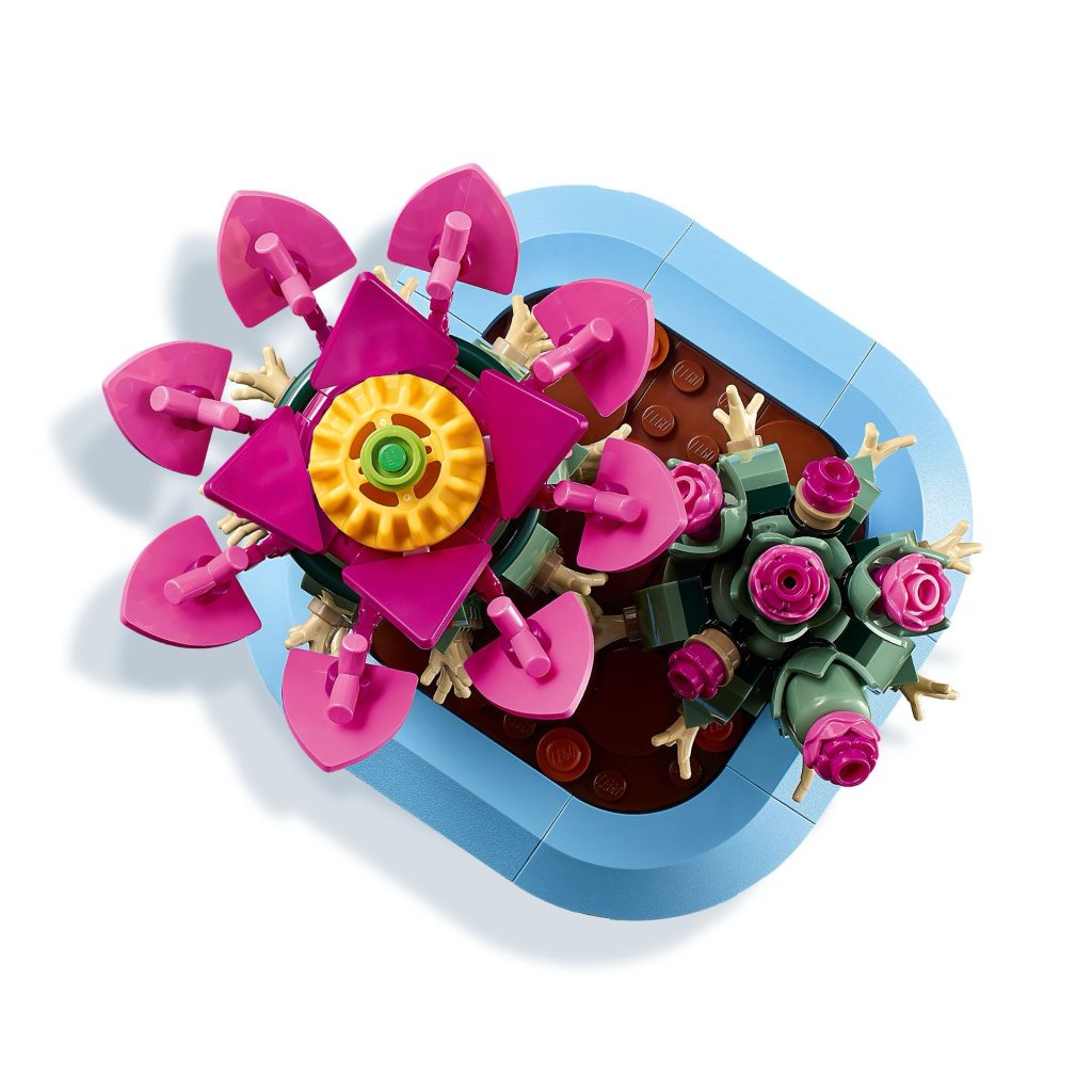 LEGO Botanicals 11509 Flowering Cactus 11 1024x1024