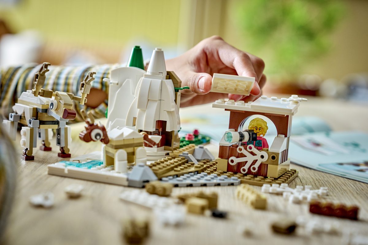 LEGO Education 45203 Arctic Animals Science Kit 4 1200x800