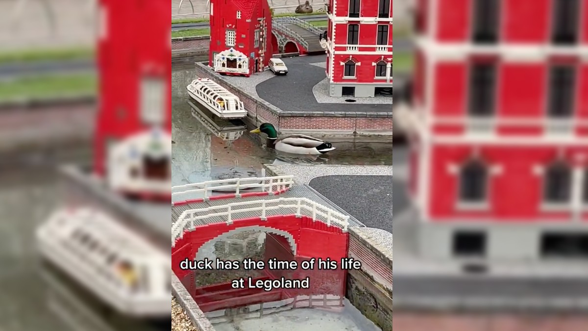 LEGOLAND Windsor gets an unexpected visitor in Miniland