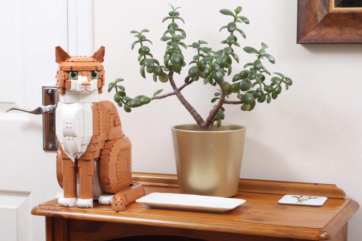 LEGO Ideas 21376 orange cat review 26 1200x800