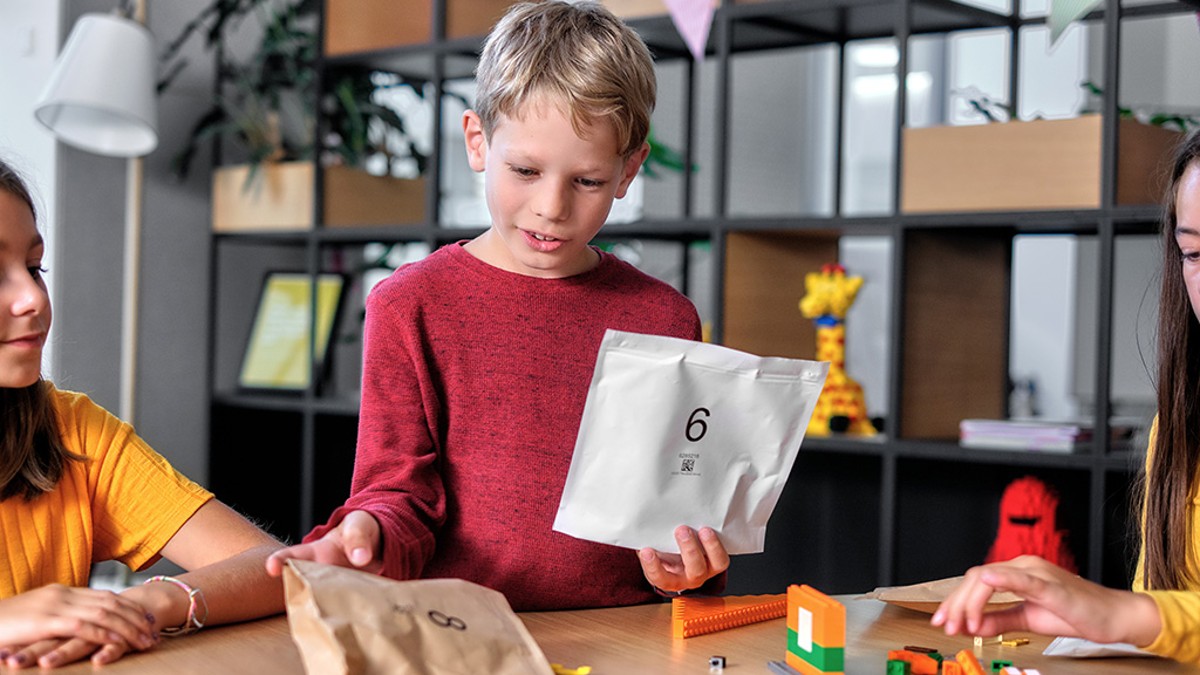 New LEGO paper bag design spotted in upcoming set