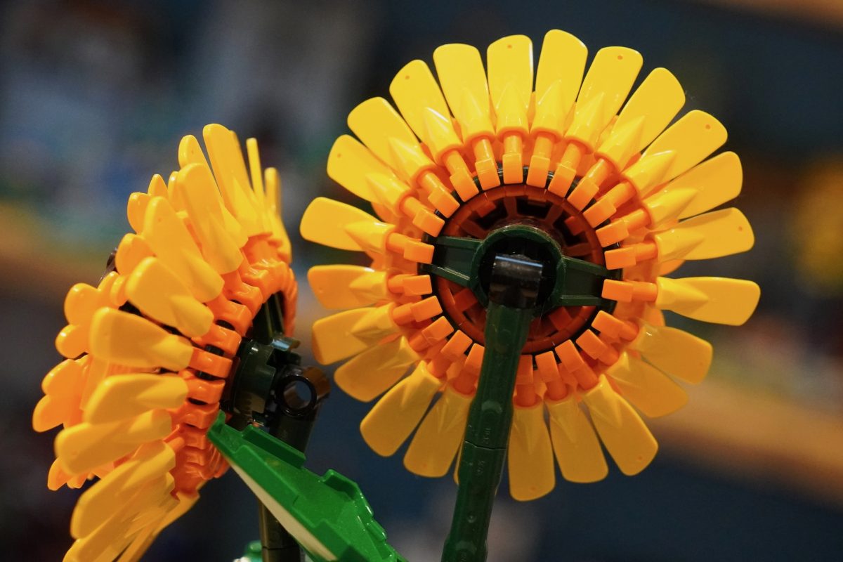 LEGO Botanicals 11502 Sunflower Bouquet 40524 Sunflowers review 5 1200x800