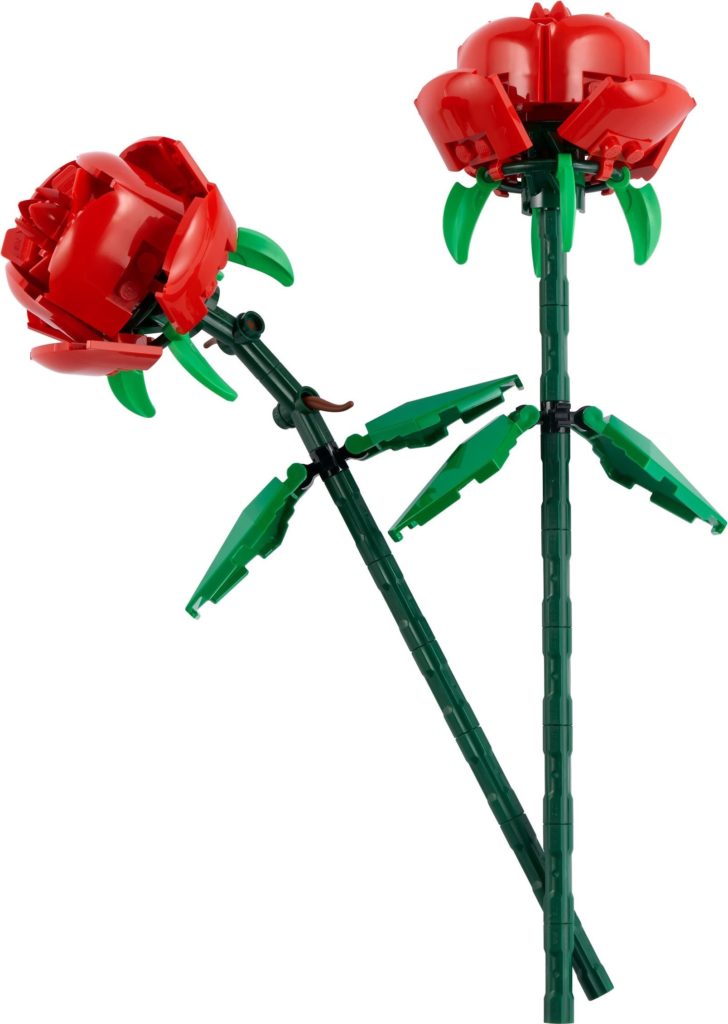 40460 Roses 1