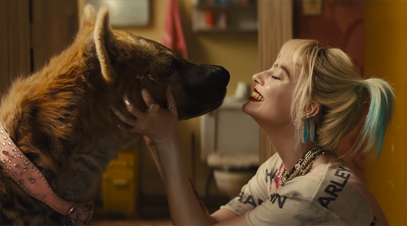Harley Quinn stars in new Birds of Prey trailer