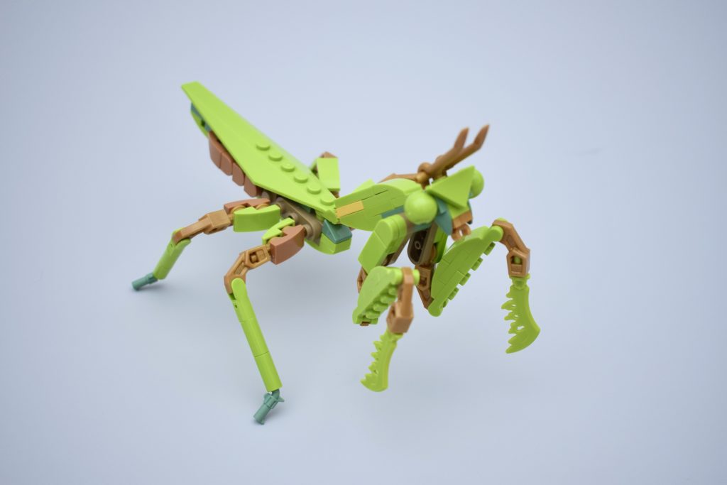 LEGO Ideas 21342 The Insects Collection Review. 28 1024x683
