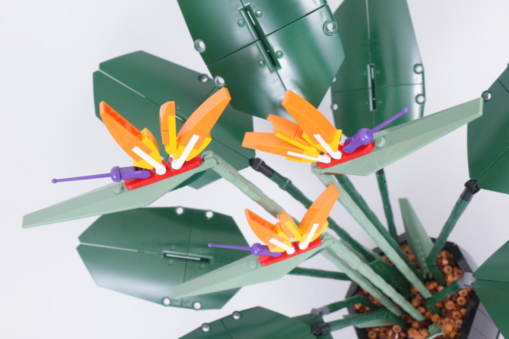 LEGO Botanical Collection 10289 Bird Of Paradise review 29