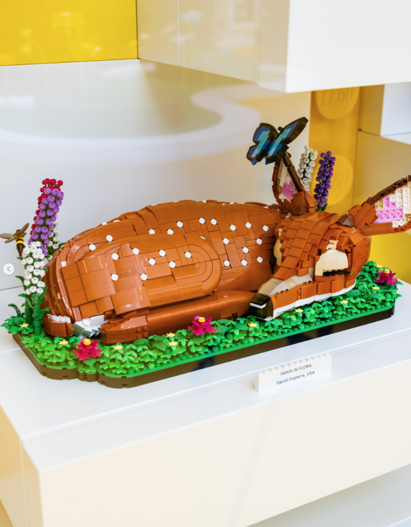 LEGO House exhibit winner 2 800x1024