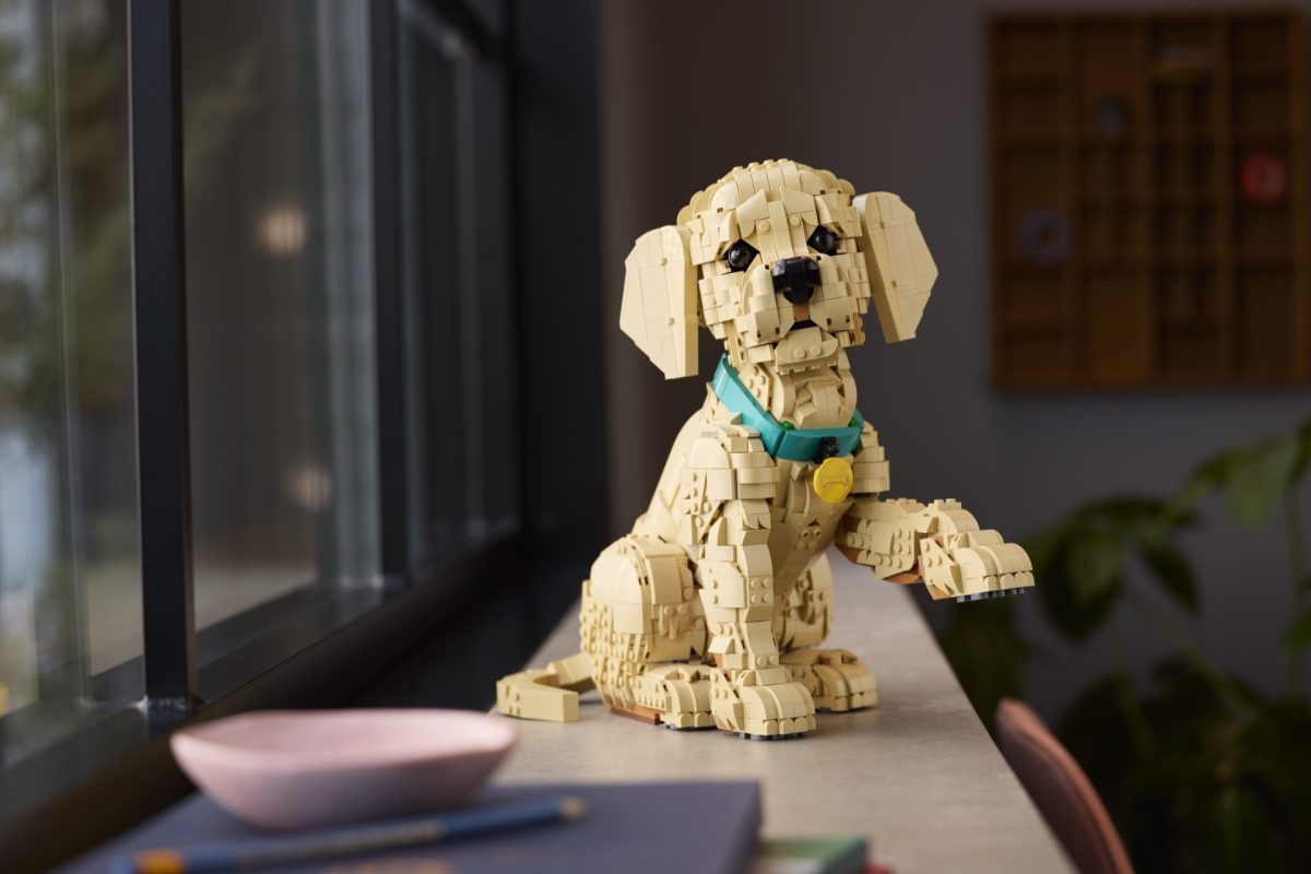 LEGO Icons 11384 Golden Retriever Puppy 27 1200x800