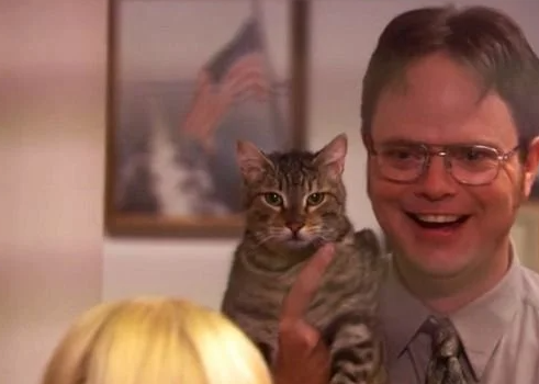 Garbage The Office