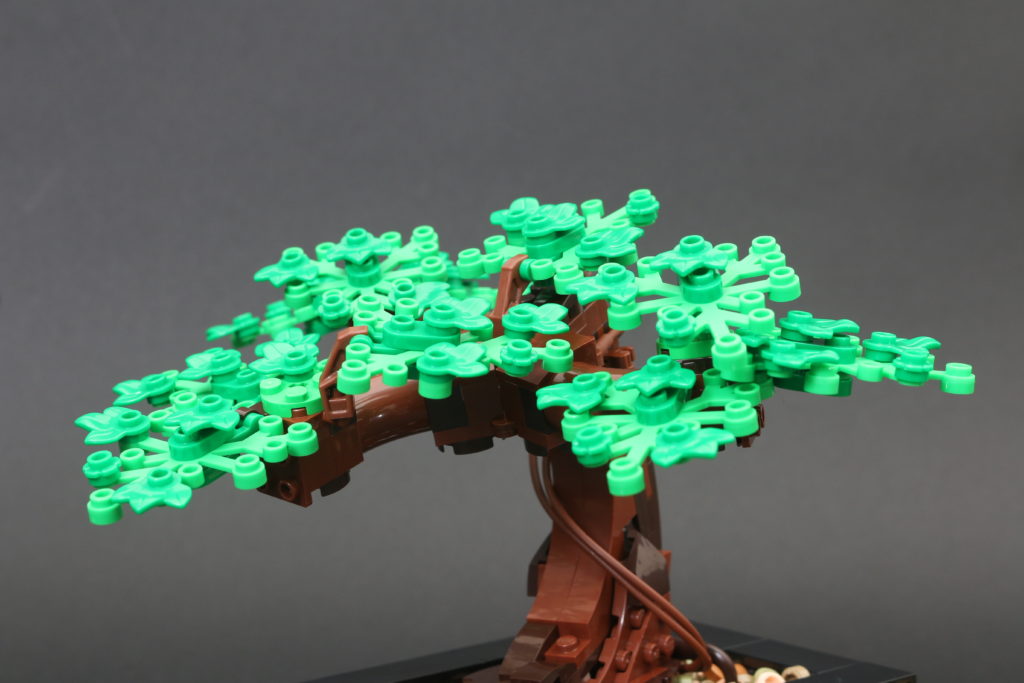 LEGO Botanical Collection 10281 Bonsai Tree review 25