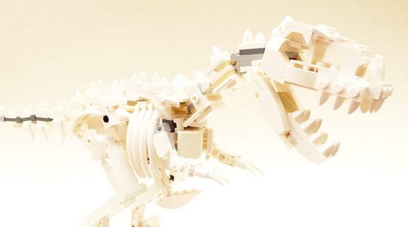LEGO Ideas 21320 Dinosaur Fossils review